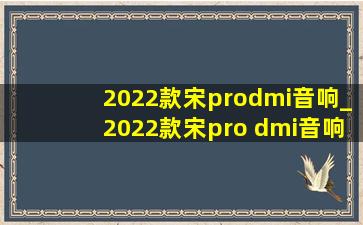 2022款宋prodmi音响_2022款宋pro dmi音响主机在哪里